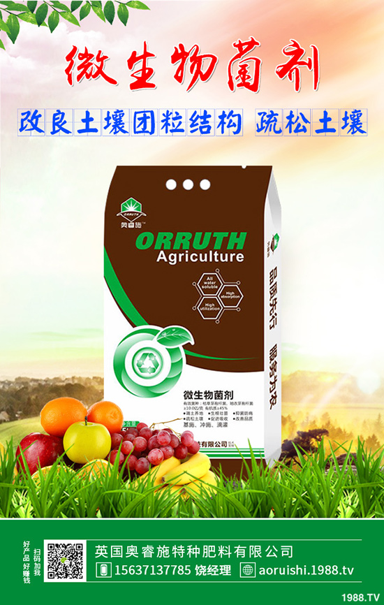 雪菜種植講究技巧，你會(huì)嗎？雪菜優(yōu)質(zhì)豐產(chǎn)種植技術(shù)