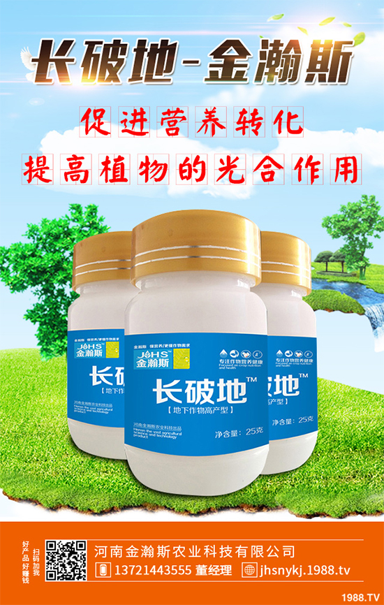 庭院種植竹子好在哪里？種植竹子的技巧與禁忌