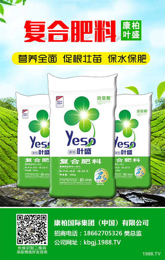 芹菜斑枯病有哪些危害癥狀？芹菜斑枯病的危害及防治