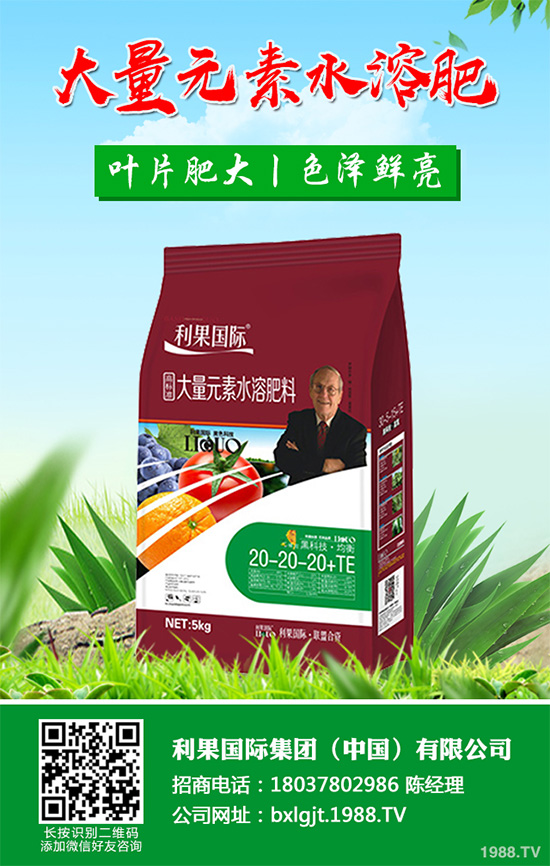     芹菜斑枯病有哪些危害癥狀？芹菜斑枯病的危害及防治