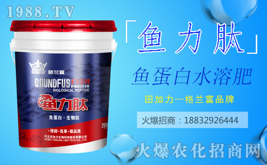 ���������ף������µ�һ�������w�������H�Қg��(l��)��