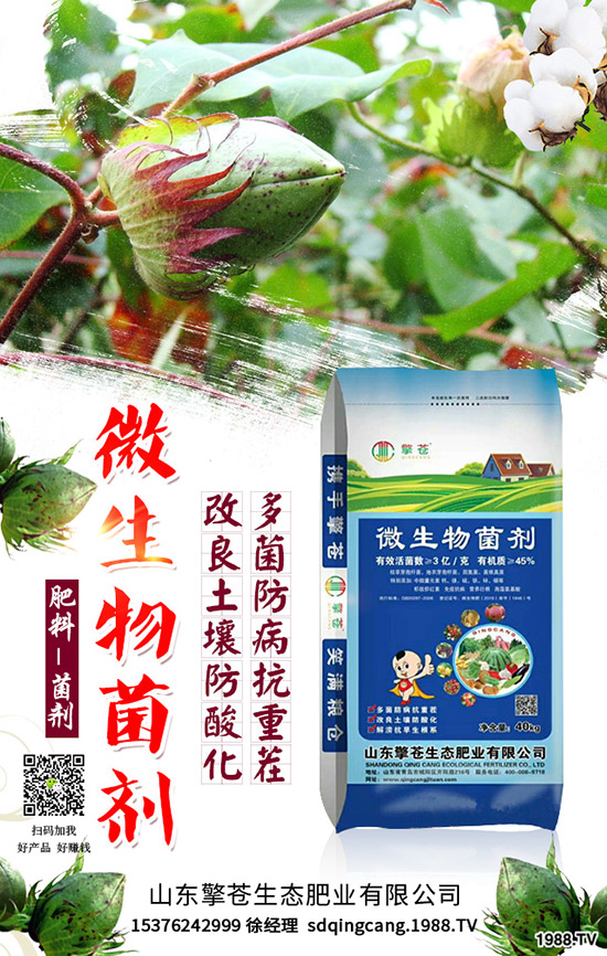     春節(jié)來臨！2020年1月尿素能否挺價？尿素行情走勢預(yù)測！