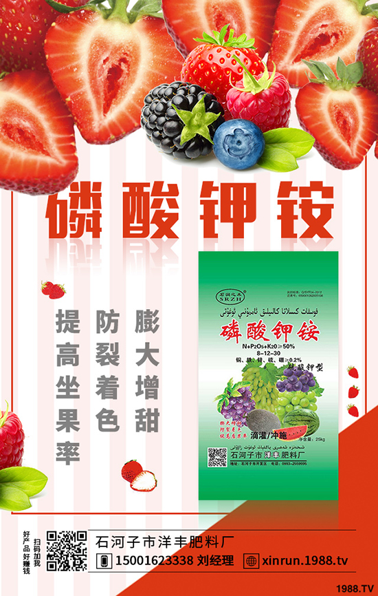 榨菜要高產(chǎn)，合理種植是關(guān)鍵！榨菜高產(chǎn)栽培看這里！