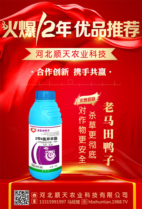 ���ӱ���졿ף���Ͽ͑�(h��)�´��옷(l��)���H�Қg��(l��)��