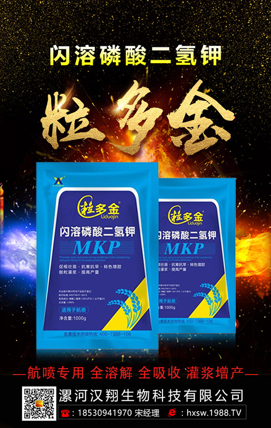 柚子如何種植拔高產(chǎn)量呢?柚子的科學(xué)種植方法!