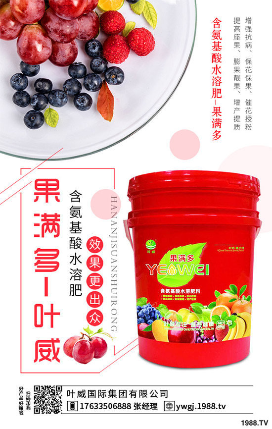 芹菜根腐病是如何發(fā)生的？該怎樣防治？快來(lái)看看吧！