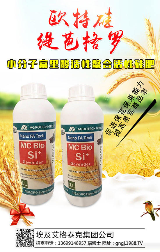 大棚辣椒結(jié)果少是怎么回事，怎樣提高辣椒坐果率？