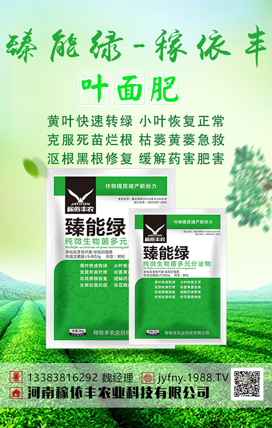 綠豆想高產(chǎn),綠豆科學(xué)上肥技術(shù)大家要清楚!