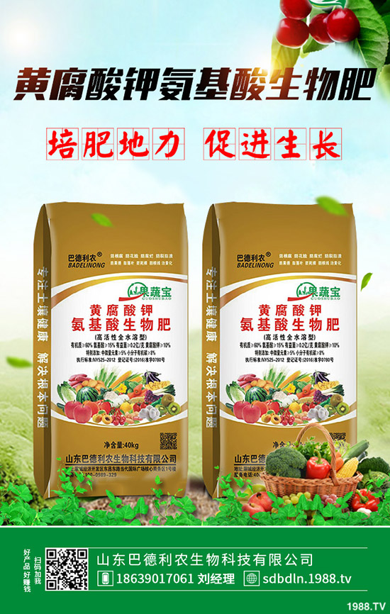     2020年春季馬鈴薯什么時候種植好？播種時間及種植注意事項！