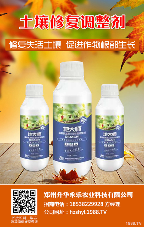 芍藥怎么種,芍藥種植技術要點有哪些?