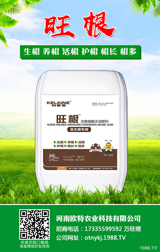 �t������Щ���湦Ч���t�ٵĹ�Ч���ü�������Ⱥ