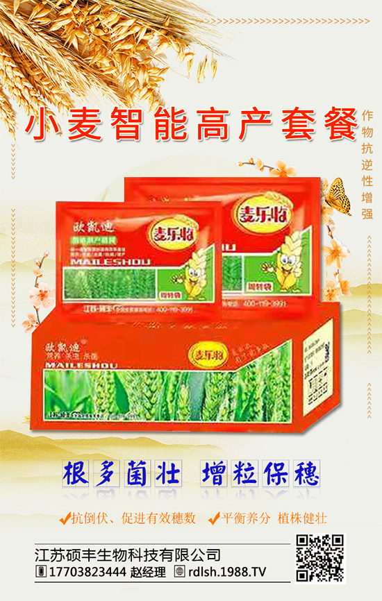 �����K�T�S���ף���2020�����w�����������d�����H���Ҹ���