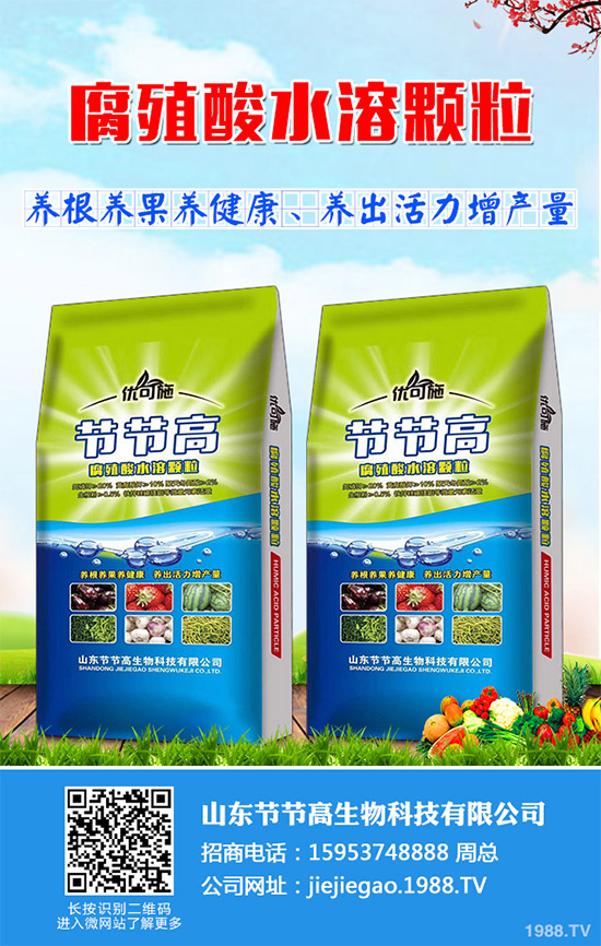 種植香菇前景如何?2020年香菇種植前景分析