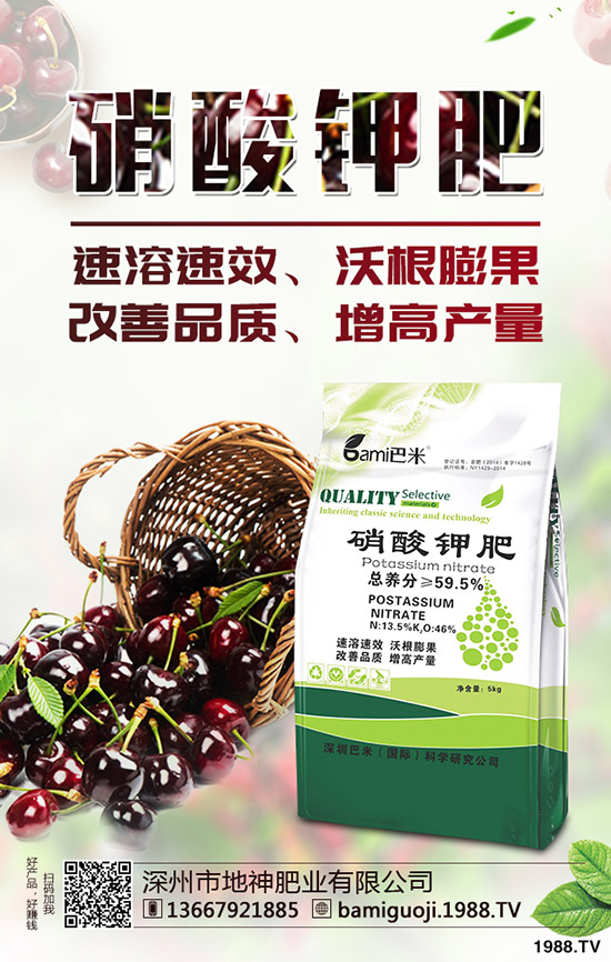 紅薯育苗時(shí)間是什么時(shí)候？紅薯育苗方法有哪些？