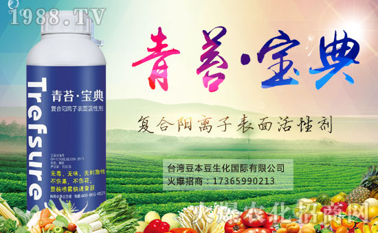 ��������������ף���������Ͽ͑���(j��ng)�N�����т�������󼪴����������d����