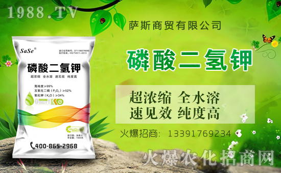 ���_˹���Q(m��o)��ȫ�w�T��ףȫ���������µ�һ����������\(y��n)�����X�]����