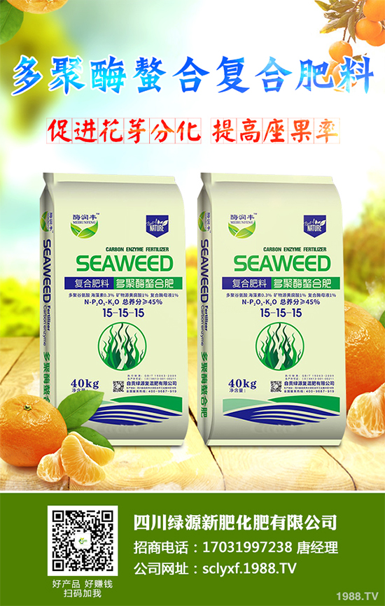 冬季南瓜該如何種植？反季南瓜大棚種植技術(shù)