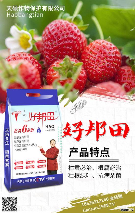 冬季南瓜該如何種植？反季南瓜大棚種植技術(shù)