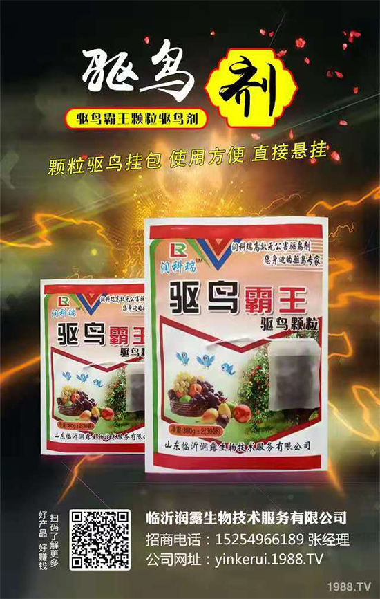 ���R�ʝ�¶���ףȫ���������µ�һ�꣬�������������·Q����һ�����!	