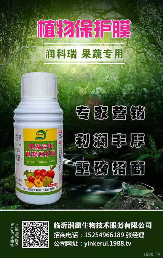 ���R�ʝ�¶���ףȫ���������µ�һ�����������ģ����·Q����һ�����!	