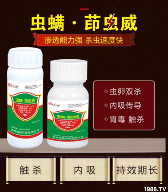 �����ݝ������ףȫ���r(n��ng)�Y��(j��ng)�N�����т�2020����옷����ϲ�l(f��)ؔ(c��i)��