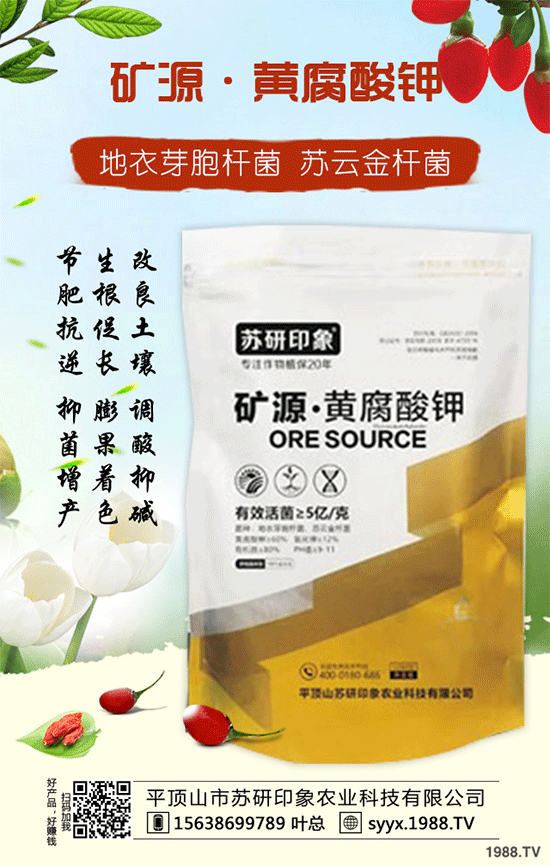 ��ƽ�ɽ���K��ӡ��ף������µ�һ�������w�����������³����f��������