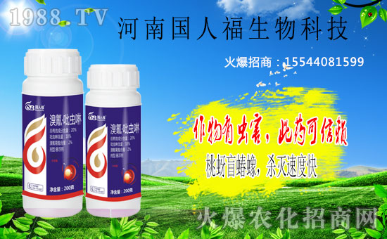 �����χ��˸������˸������¸�����ף���Ͽ͑�����옷���������