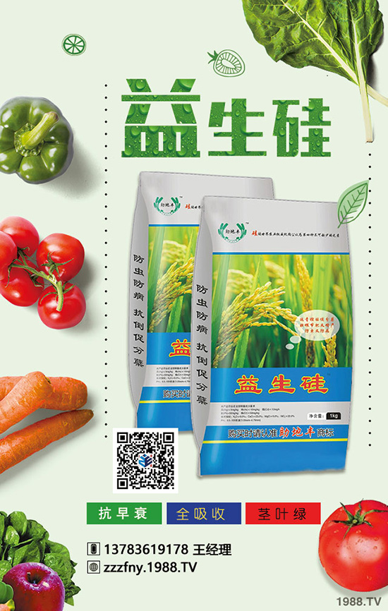 卷心菜好吃又不貴，但卷心菜施肥增產(chǎn)有方法