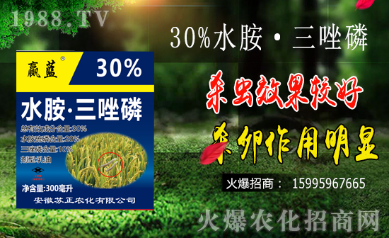 水稻鉆心蟲防治難點(diǎn)有哪些？水稻鉆心蟲危害及防治要點(diǎn)！