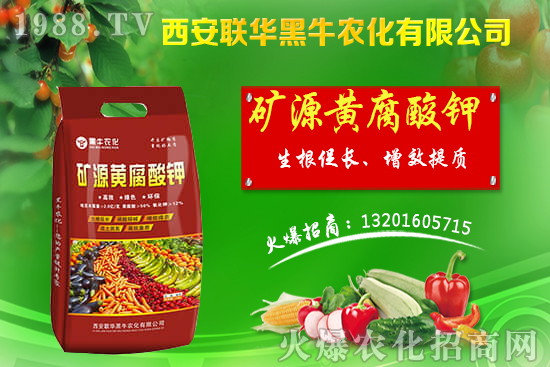 秋季果樹(shù)該如何管理?秋季果樹(shù)管理應(yīng)避免的四大誤區(qū)!