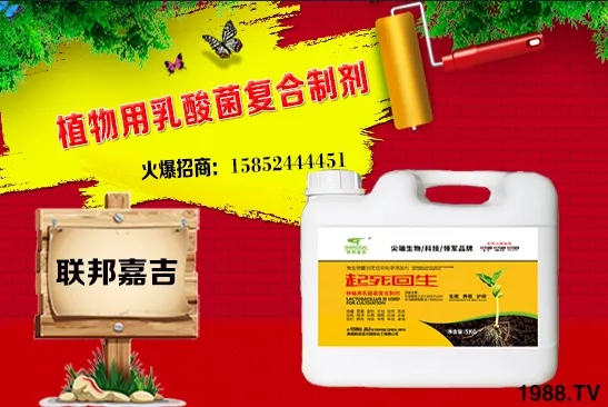 ���[���L�l������Щ�����[������c���＾������