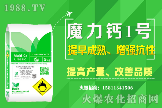 十月下旬適合種植什么中藥材?哪些中藥材賺錢(qián)收益高?