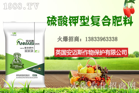 今日花生價格多少錢一斤？10月24日花生價格行情