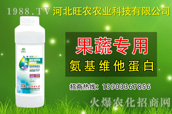 枇杷種植為什么會裂果呢？預(yù)防枇杷裂果措施有哪些？