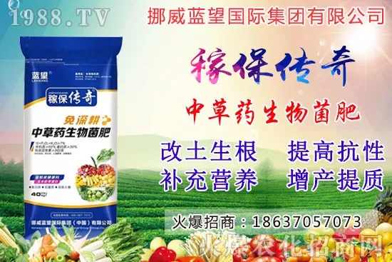 越冬菠菜施肥要注意什么問(wèn)題？越冬菠菜施肥四大原則！