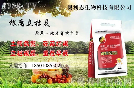 果樹栽培四大誤區(qū)有哪幾點(diǎn)?如何提高果樹栽植的成活率?