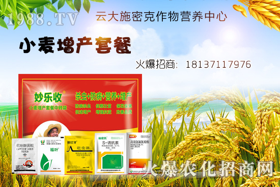 小麥播種后不出苗？是什么原因造成的？