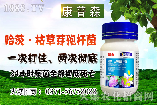 小麥價格止跌回穩(wěn)，小麥價格能漲多少？