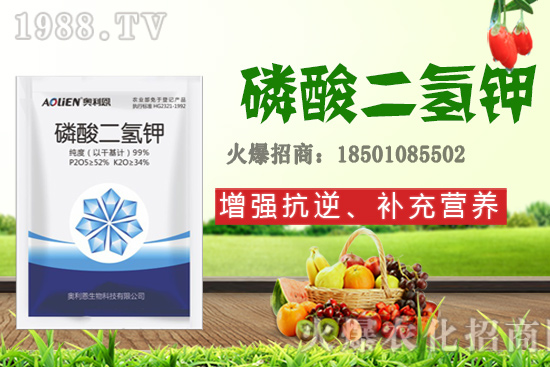 吡唑醚菌酯+蕓苔素＋磷酸二氫鉀，有什么作用？