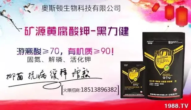 ����ʲô�r(sh��)�g���N��ע�����(xi��ng)����Щ�����ش���Nֲ�r(sh��)�g����