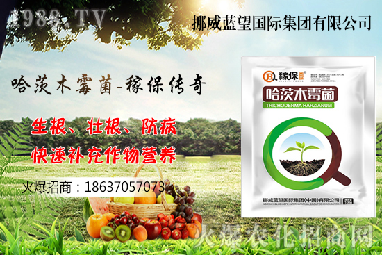 收獲后的小麥如何儲(chǔ)存呢？小麥儲(chǔ)藏關(guān)鍵點(diǎn)管理！