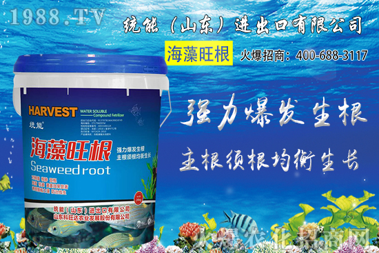 小麥價(jià)格大范圍上漲！預(yù)計(jì)小麥價(jià)格將突破1.25元/斤