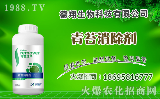 油菜什么時(shí)間種植，油菜種植方法是什么？有哪些注意事項(xiàng)？