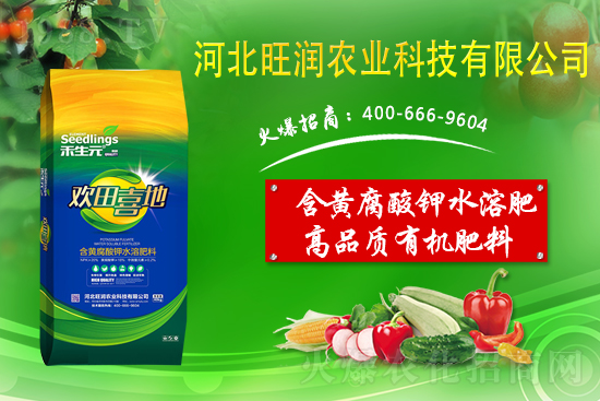 果園反光膜怎么鋪效果好？果園鋪反光膜五要點(diǎn)！