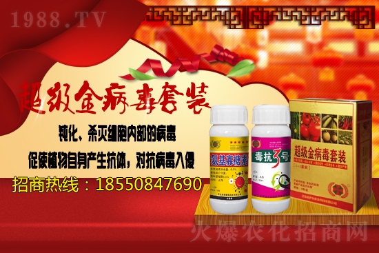 2020.11.17�Շ�(gu��)��(n��i)�󶹃r(ji��)����Ϣ