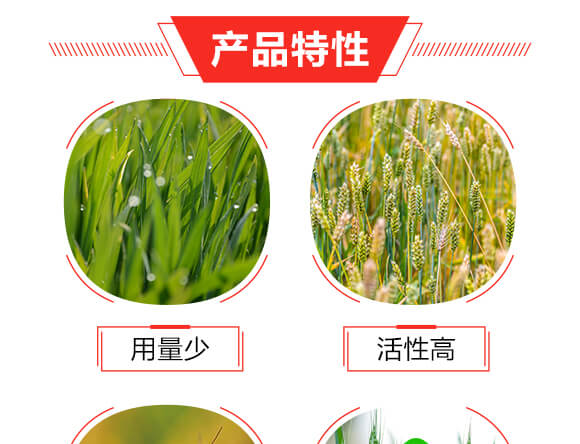 滬聯焚甲組合裝-滬聯_05