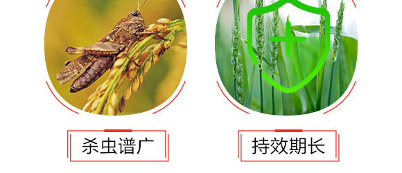 滬聯焚甲組合裝-滬聯_06