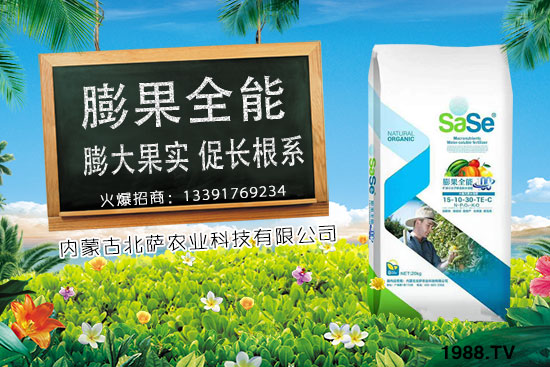 菜椒要怎么種植？菜椒生長(zhǎng)條件及種植技術(shù)！