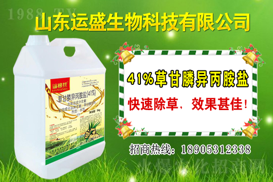 覆盆子生長習(xí)性有哪些?覆盆子種植技術(shù)!