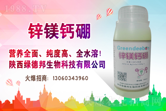 花生購銷氛圍略好轉！2020年11月25日局部花生價格報道！